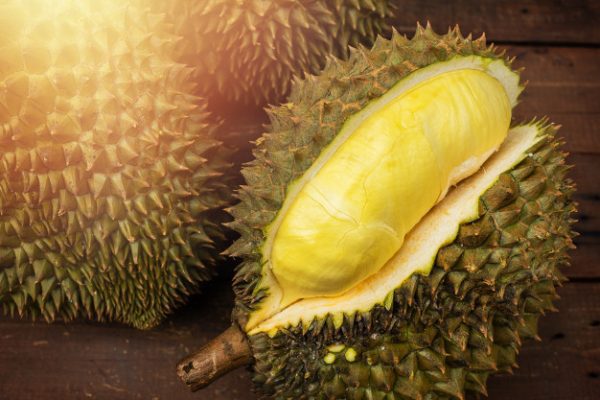 mon thong durian fruit from thailand 63097 29